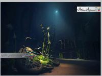 در میان خواب