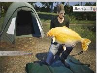 ماهیگیری اروپا دریاچه طلایی