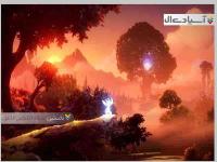 اوری و اراده جادوگران