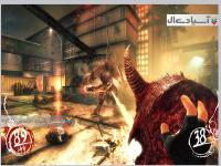 جنگجوی سایه ها