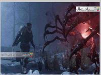 محو شدن سکوت