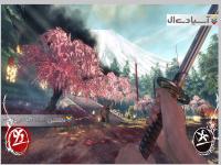 جنگجوی سایه ها