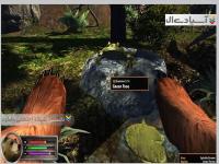 شبیه ساز خرس