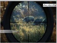  شکارچی: ندای وحشی