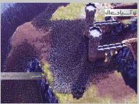 شبیه ساز نبرد نهایی حماسی