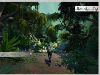 خاکستر گمشده