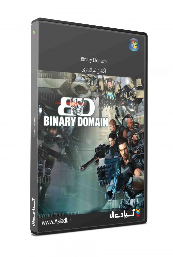 دامنه باینری