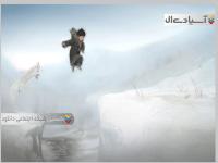 تنهایی هرگز : داستانهای روباه