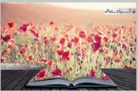 تصاویر جذاب و دیدنی کتاب در طبیعت