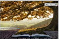 تصاویر جذاب و دیدنی کتاب در طبیعت