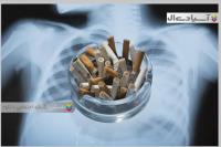 مجموعه وکتور تصاویر استعمال دخانیات ممنوع 