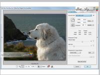 نرم افزار بزرگنمایی عکس بدون افت کیفیت