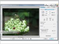 نرم افزار بزرگنمایی عکس بدون افت کیفیت